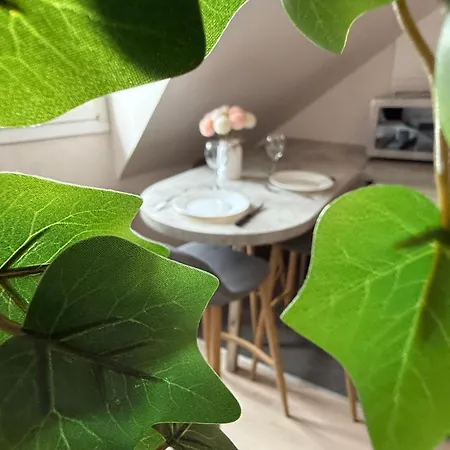 Centre Apartment Straßburg