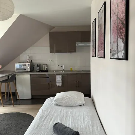 Centre Apartamento Estrasburgo