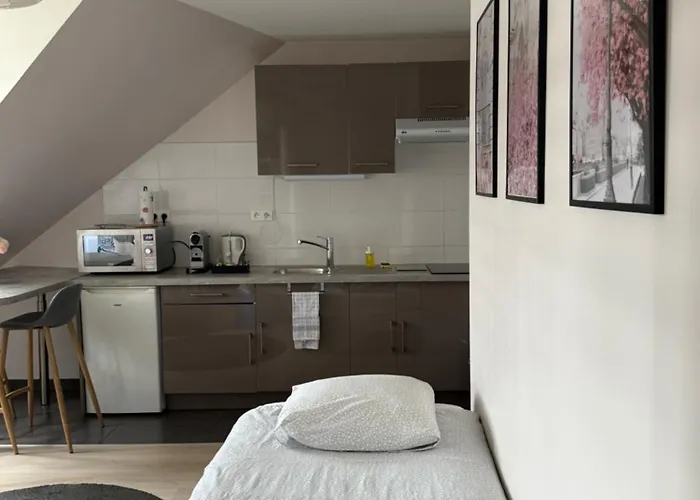 Centre Appartamento Strasburgo